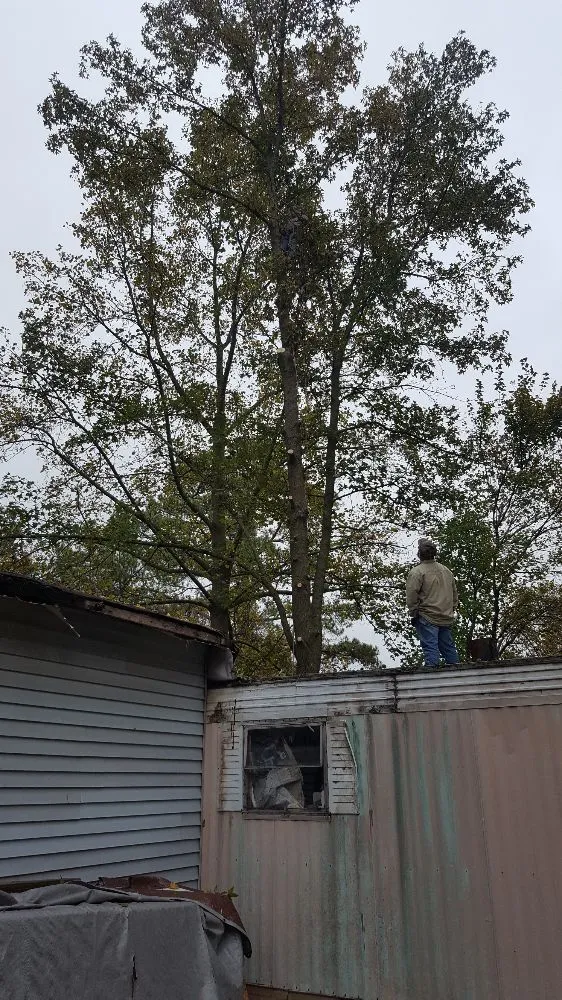 Top-rated outdoor landscaping in Vinemont, AL by A1 Tree Service & Landscaping