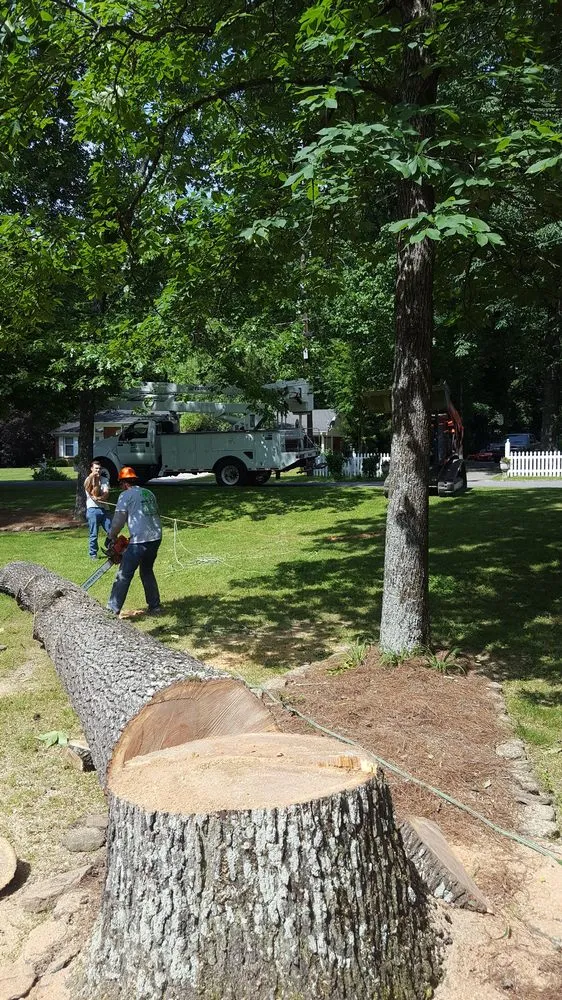 Top-rated residential landscaping for year-round maintenance across Vinemont, AL - A1 Tree Service & Landscaping