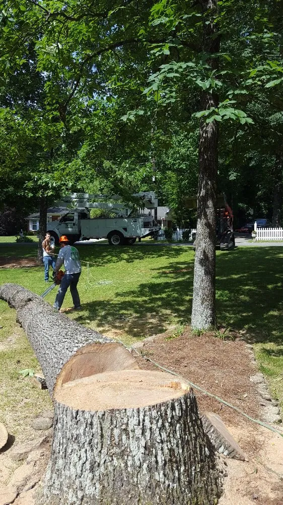 Custom yard maintenance in Vinemont, AL by A1 Tree Service & Landscaping