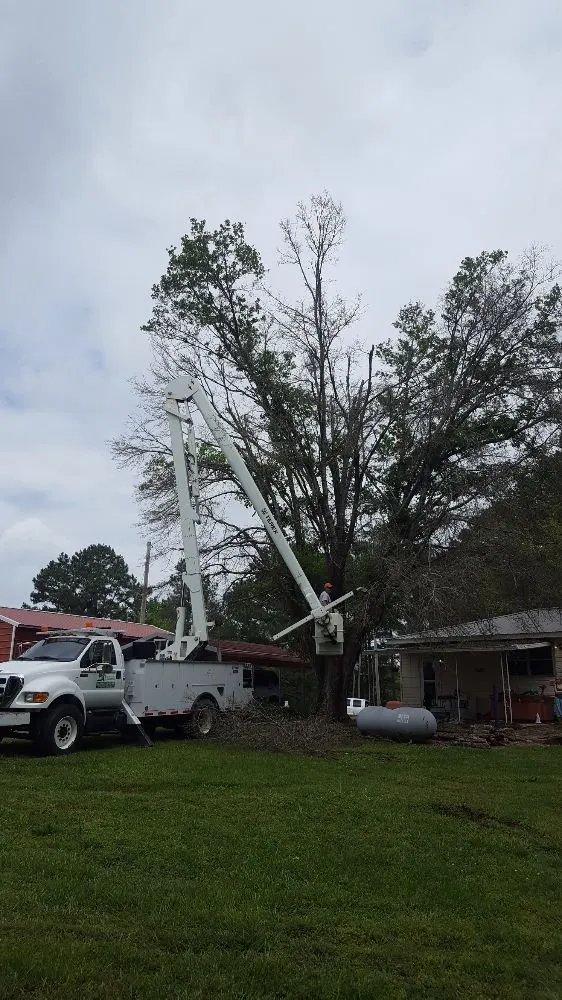 Reliable landscaping services for homes across Vinemont, AL - A1 Tree Service & Landscaping