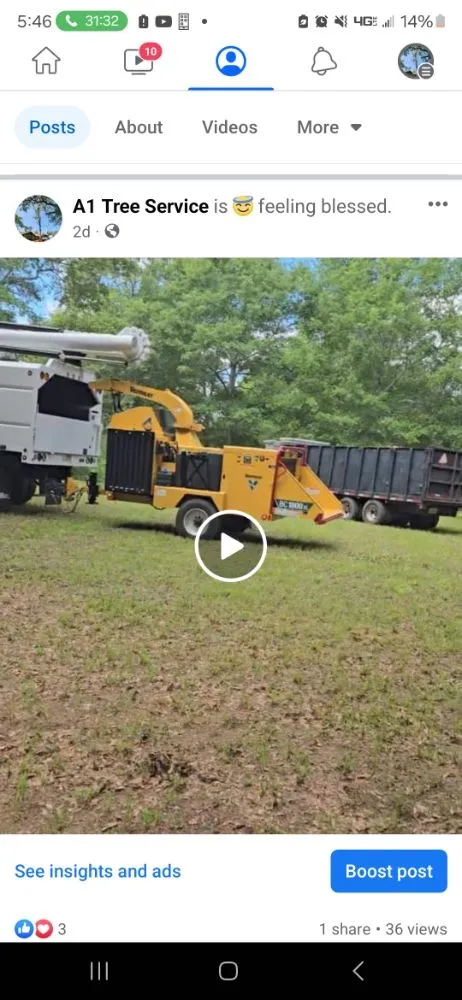Affordable yard cleanup service for beautiful yards in Chancellor, AL by A1 Tree Service