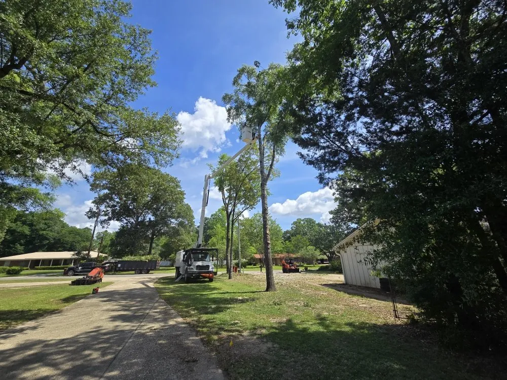 Custom residential landscaping in Chancellor, AL - A1 Tree Service