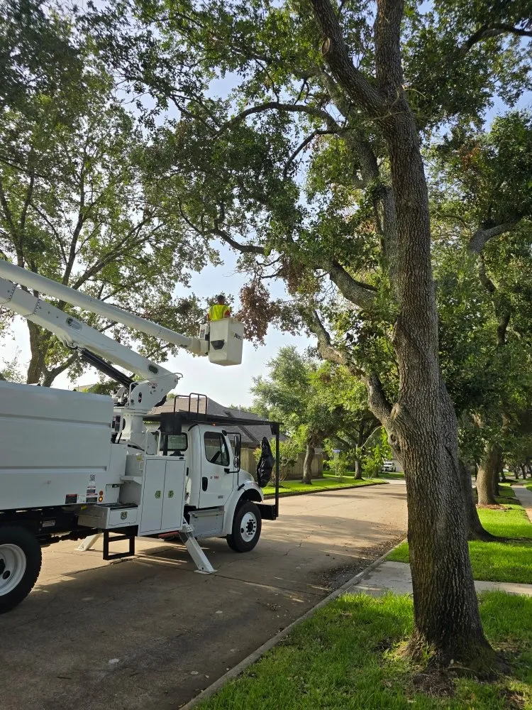 Trusted garden landscaping for residential properties across Chancellor, AL - A1 Tree Service