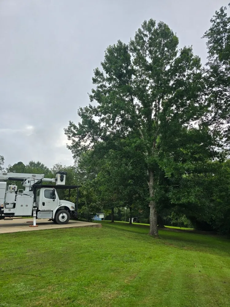 Custom landscape installation in Chancellor, AL - A1 Tree Service