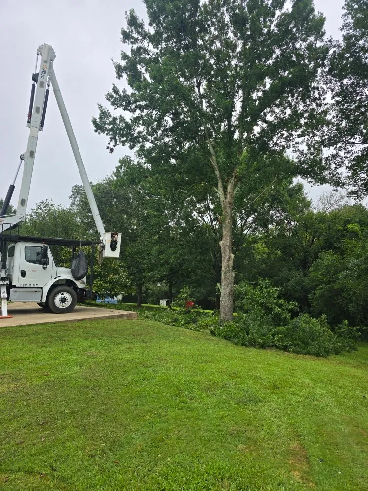 Local lawn mowing service for beautiful yards in Chancellor, AL by A1 Tree Service