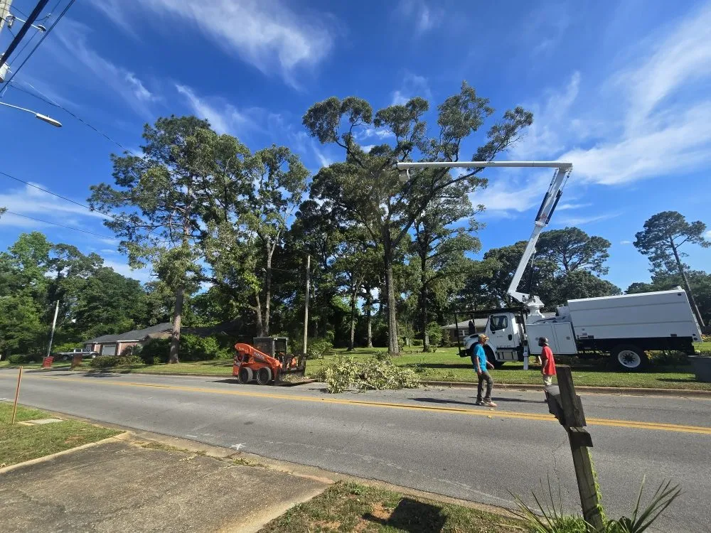 Local yard cleanup service in Chancellor, AL - A1 Tree Service