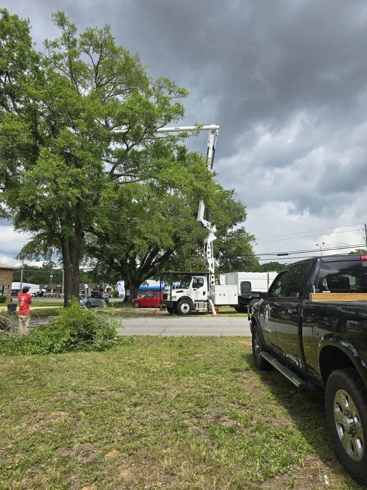 Reliable landscaping services in Chancellor, AL - A1 Tree Service