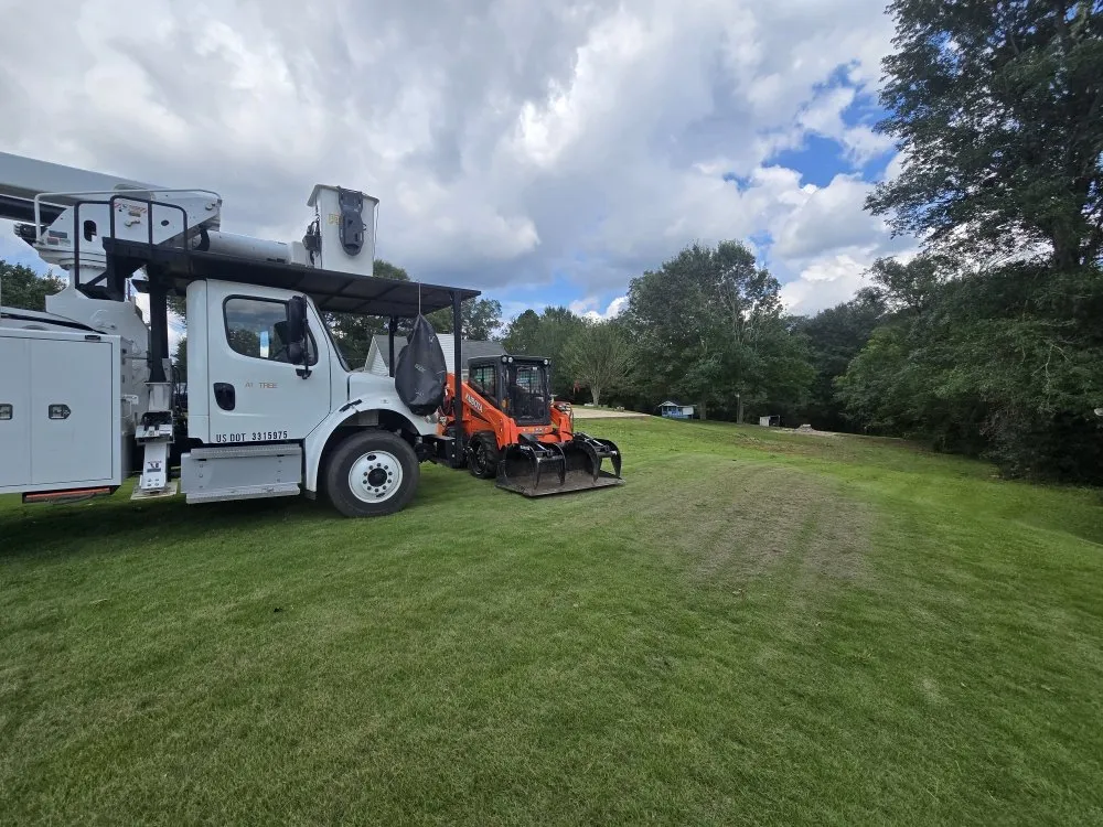 Affordable lawn care service for beautiful yards in Chancellor, AL by A1 Tree Service