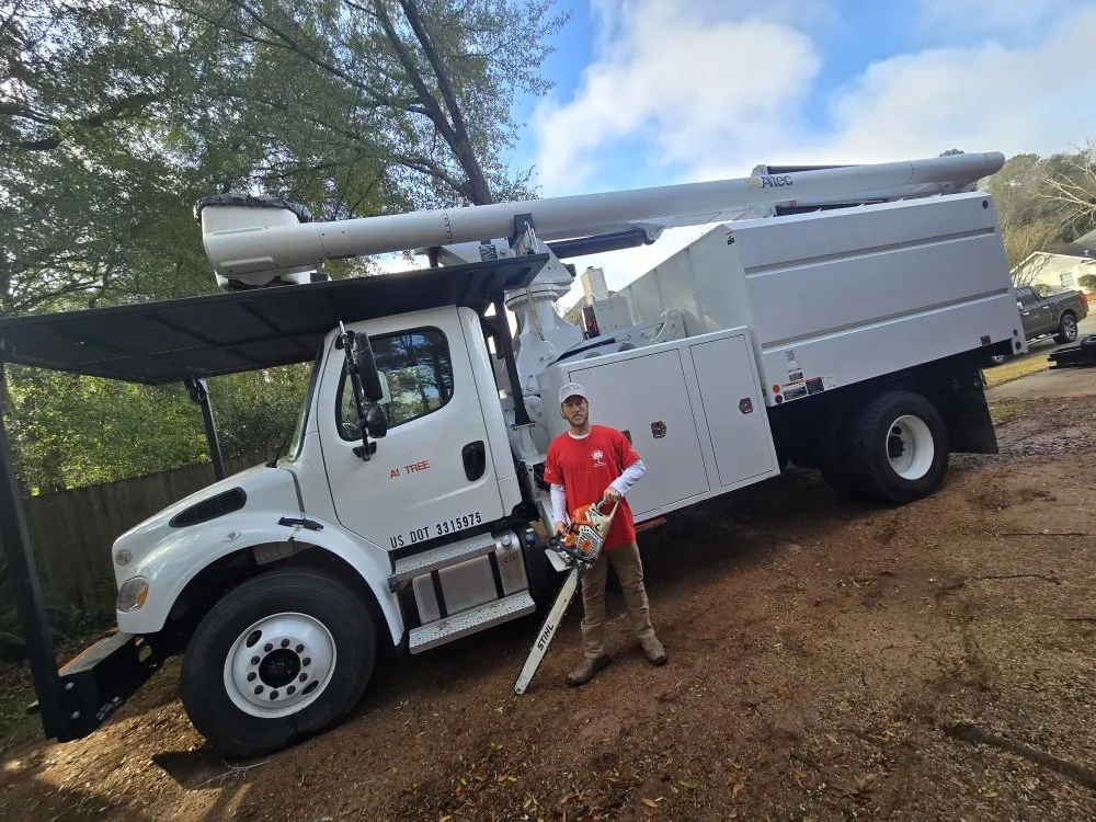 Trusted landscaping services in Chancellor, AL by A1 Tree Service