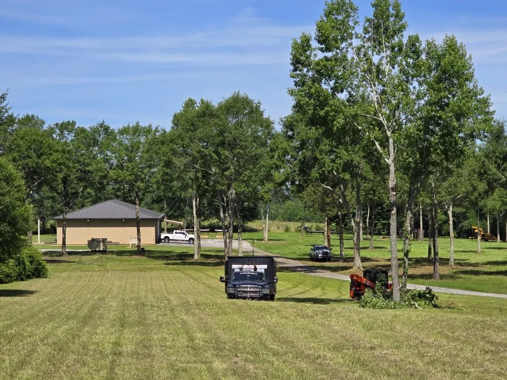Trusted landscape design experts serving Chancellor, AL - A1 Tree Service