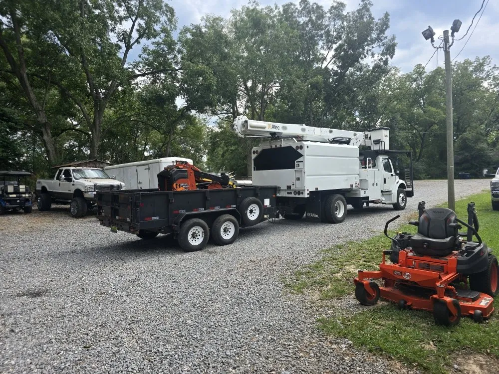 Professional residential landscaping in Chancellor, AL by A1 Tree Service