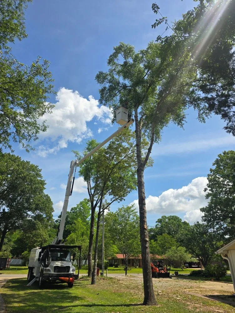 Affordable landscaping services in Chancellor, AL - A1 Tree Service