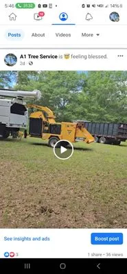 A1 Tree Service