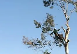 Reliable yard cleanup service in Salisbury, MA by A1 Tree Works & Landscape