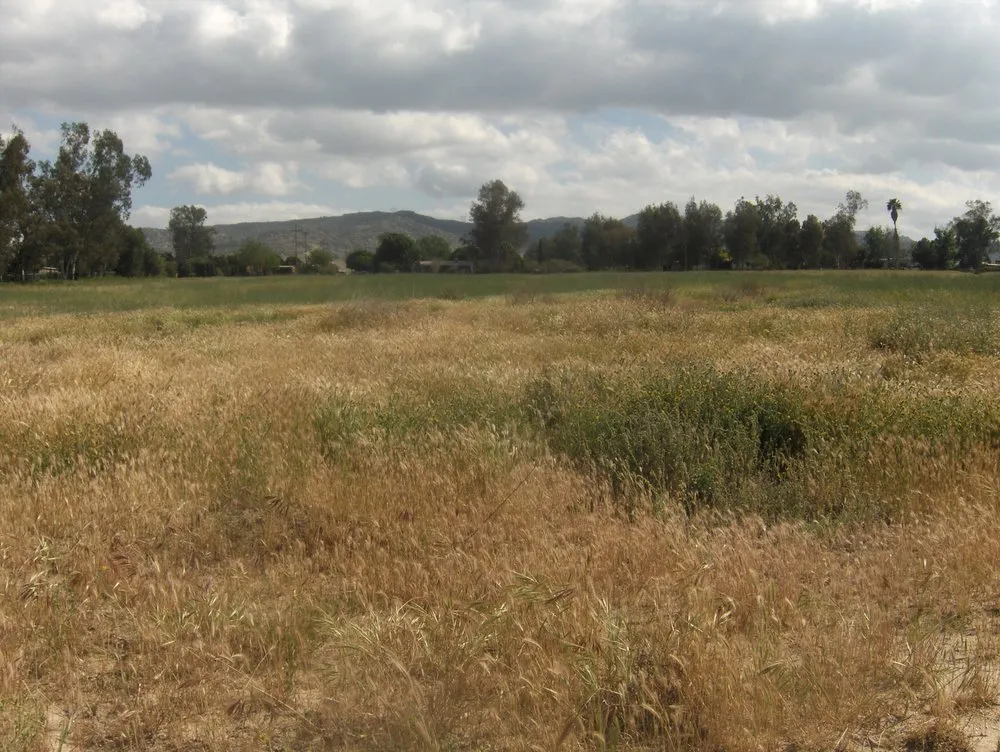 Reliable garden landscaping for outdoor upgrades in Homeland, CA by A1 Weed Abatement