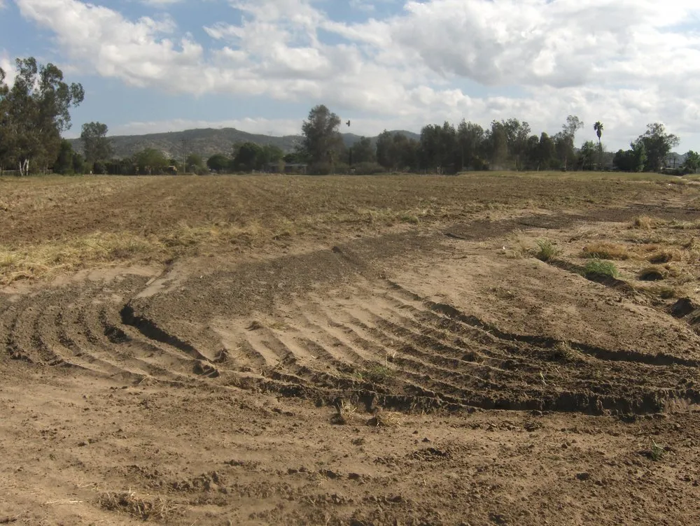 Affordable landscape design for outdoor upgrades across Homeland, CA - A1 Weed Abatement