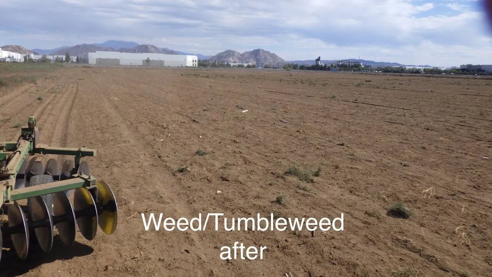 Reliable landscape design in Homeland, CA - A1 Weed Abatement