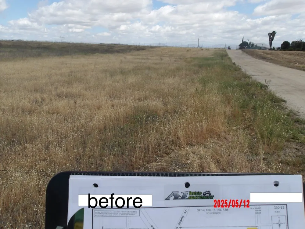 Trusted residential landscaping in Homeland, CA - A1 Weed Abatement