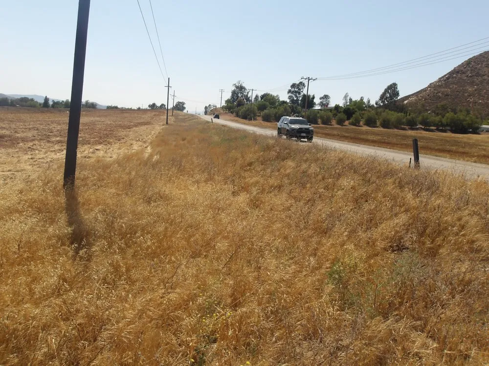 Custom lawn care service for residential properties across Homeland, CA - A1 Weed Abatement