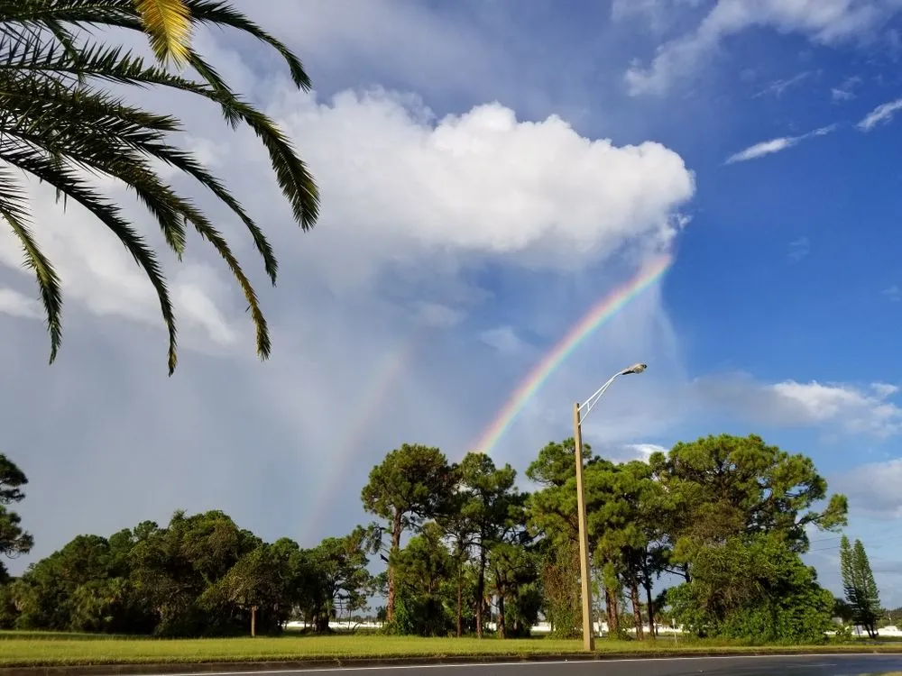 Affordable outdoor landscaping with custom design in Indialantic, FL by A1A Lawncare