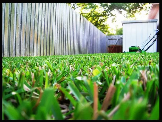 Affordable landscaping services in Indialantic, FL by A1A Lawncare
