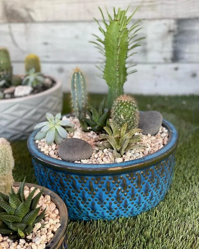 Affordable yard maintenance experts serving Homestead, FL - A1A Sod Sand & Soil