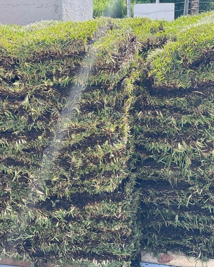 Local yard cleanup service experts serving Homestead, FL - A1A Sod Sand & Soil