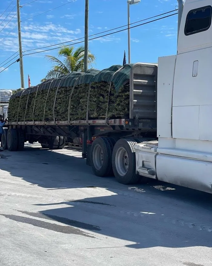Top-rated outdoor landscaping in Homestead, FL by A1A Sod Sand & Soil