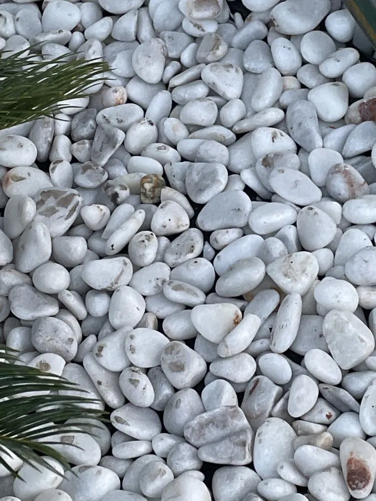 Expert lawn mowing service with custom design in Homestead, FL by A1A Sod Sand & Soil