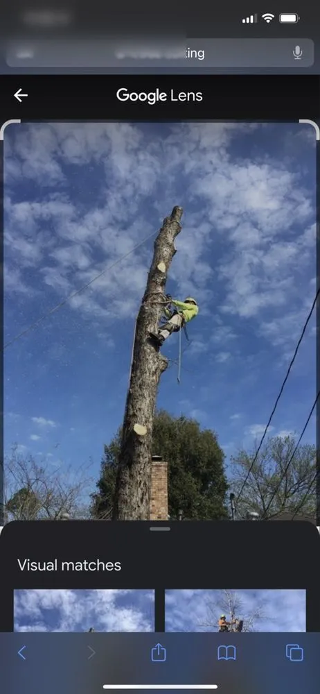 Local outdoor landscaping experts serving Longview, WA - A1Custom Landscaping And Design