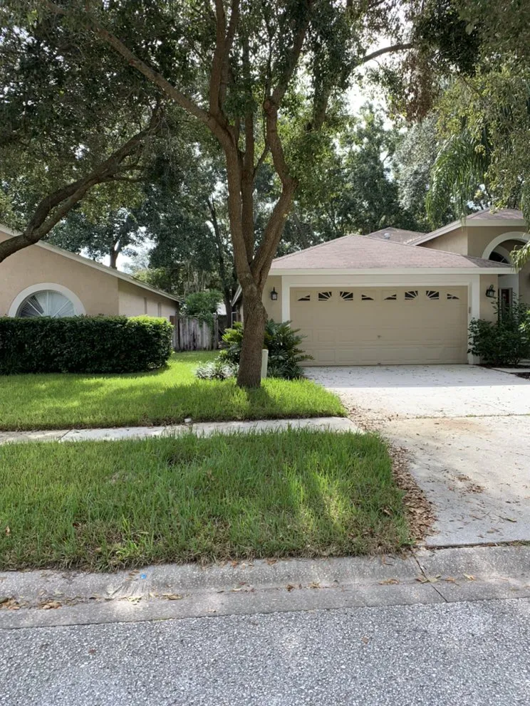 Local yard maintenance in Valrico, FL - A1M Power Wash & Lawn Care