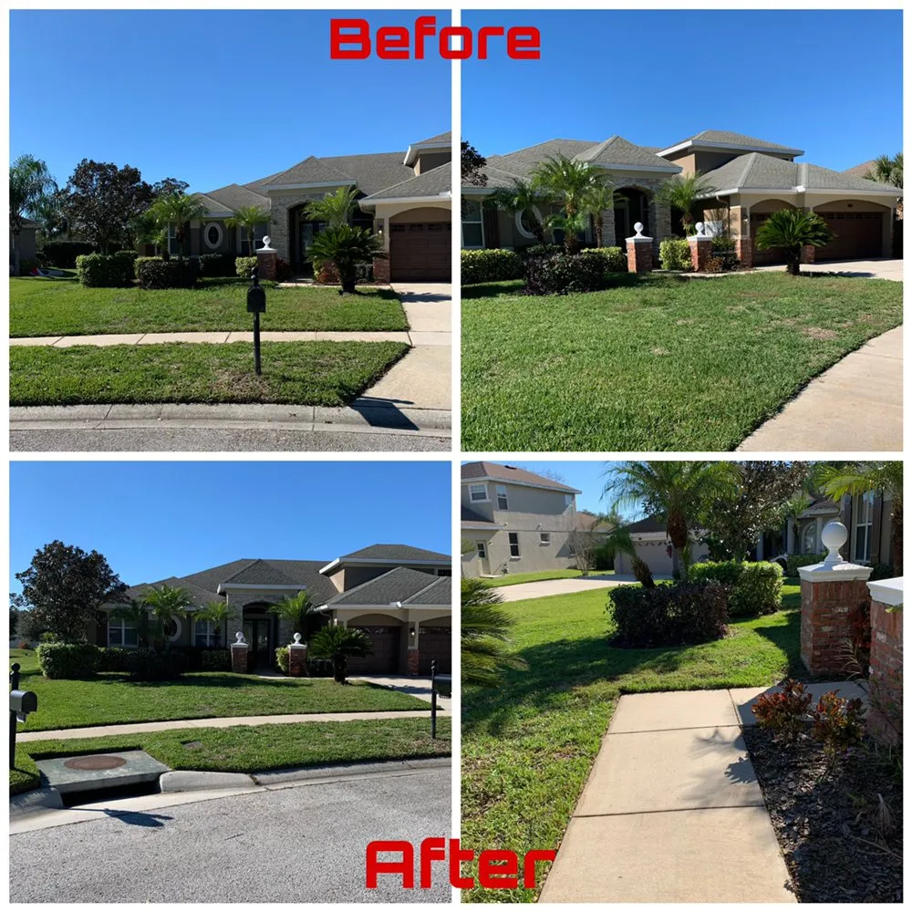 Top-rated landscaping services in Valrico, FL by A1M Power Wash & Lawn Care