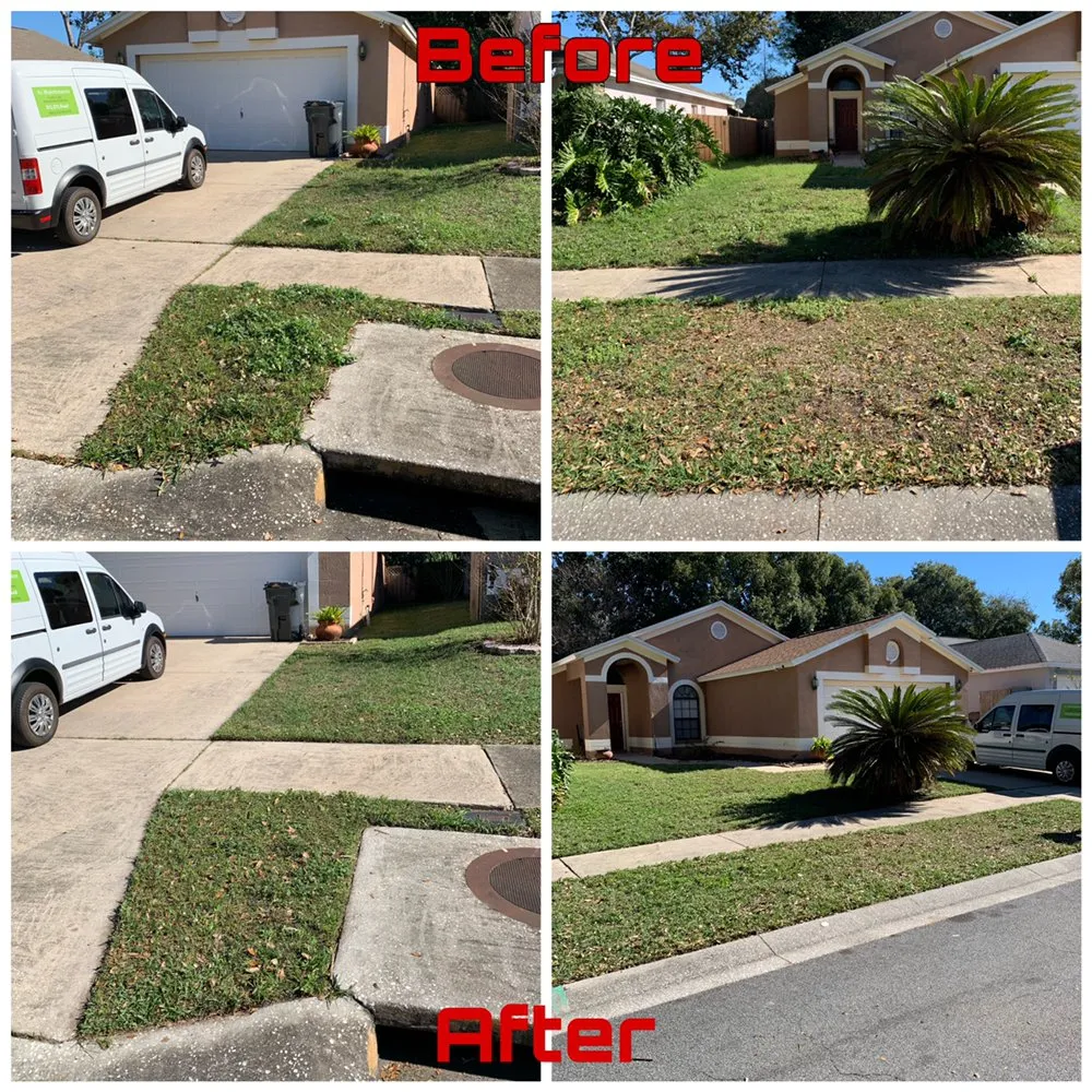 Professional garden landscaping experts serving Valrico, FL - A1M Power Wash & Lawn Care