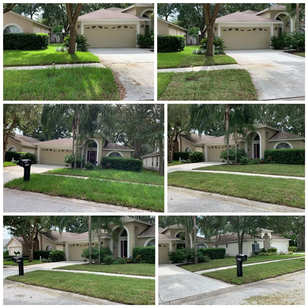 Expert residential landscaping in Valrico, FL - A1M Power Wash & Lawn Care