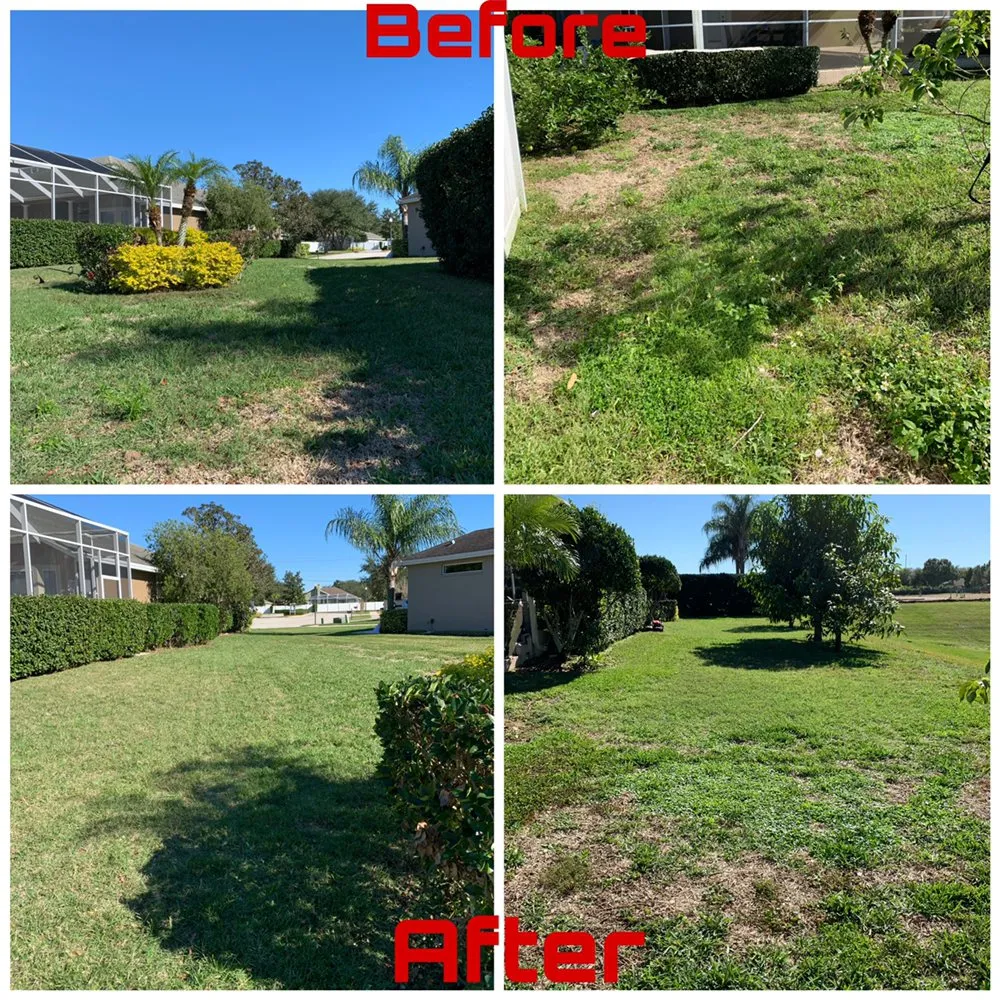 Local landscape design in Valrico, FL by A1M Power Wash & Lawn Care