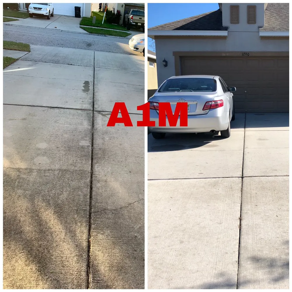 Professional outdoor landscaping experts serving Valrico, FL - A1M Power Wash & Lawn Care