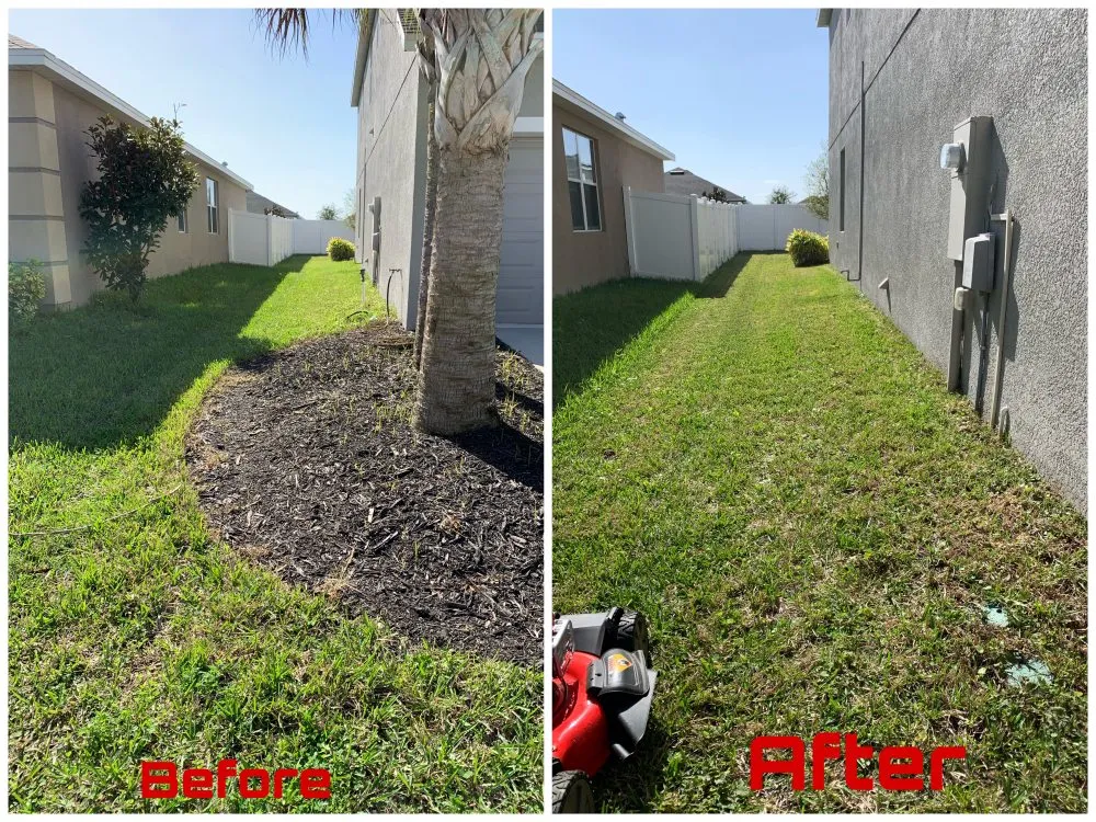 Local yard maintenance in Valrico, FL by A1M Power Wash & Lawn Care