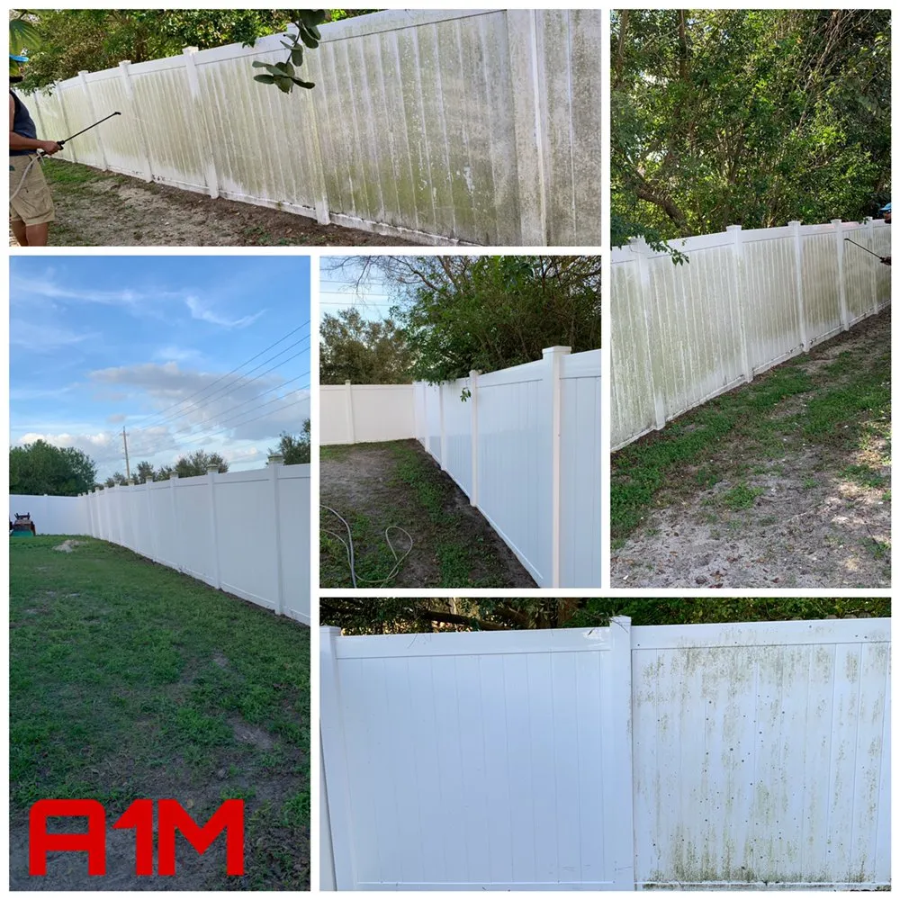 Professional outdoor landscaping in Valrico, FL by A1M Power Wash & Lawn Care