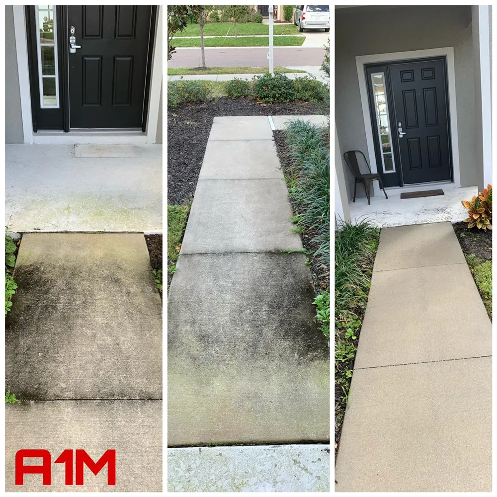 Professional lawn care service in Valrico, FL by A1M Power Wash & Lawn Care