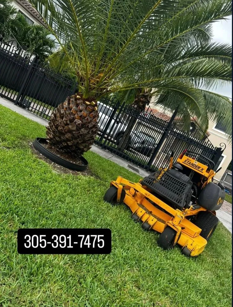 Top-rated landscape design experts serving Cutler Bay, FL - A1scapes