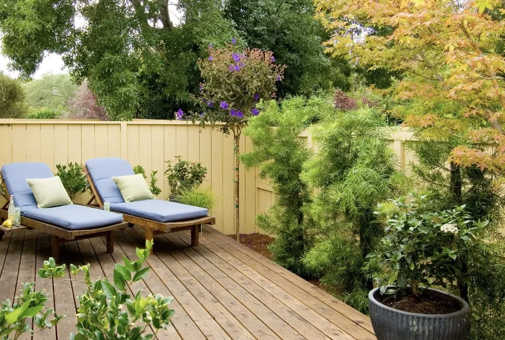 Affordable lawn care service in Novato, CA by A2C Construction