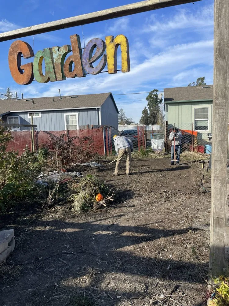 Custom landscape installation experts serving Novato, CA - A2C Construction