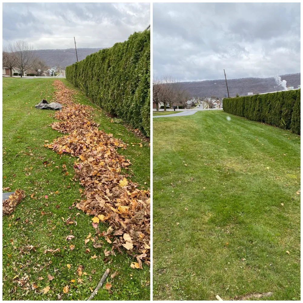 Custom yard cleanup service in Altoona, PA - A2W Seasonal Services