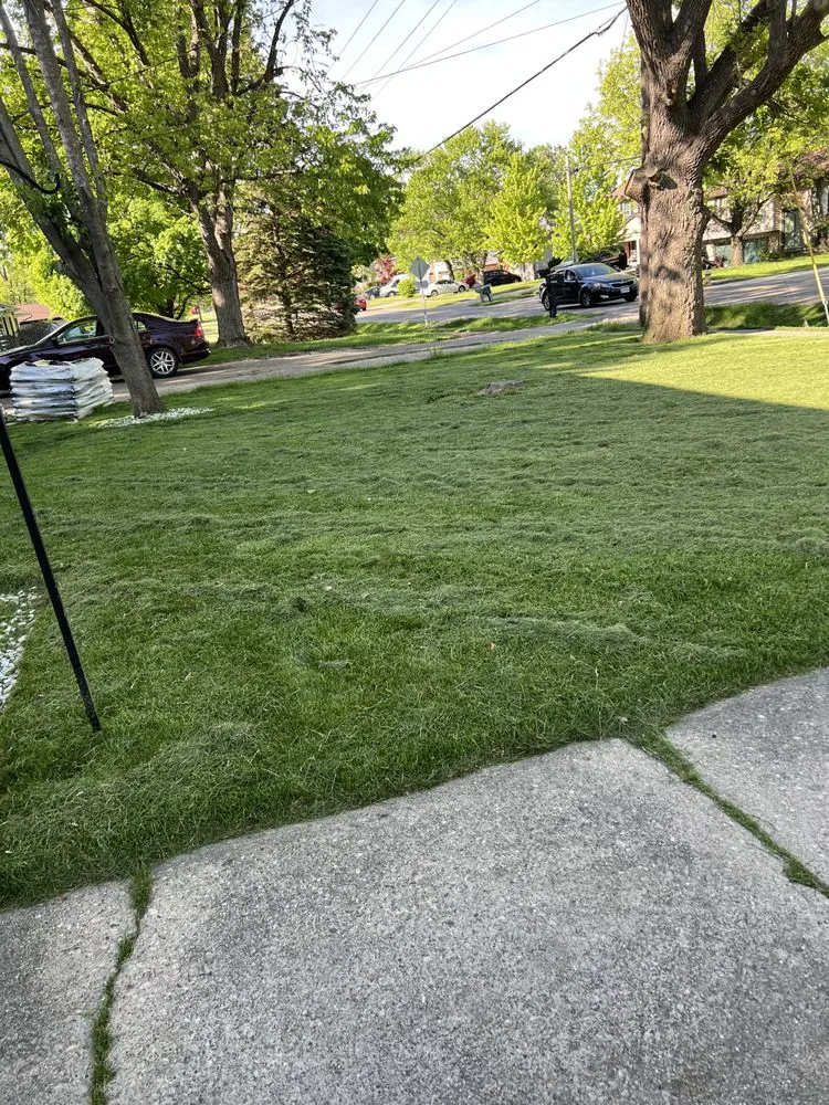 Local yard cleanup service experts serving Cincinnati, OH - A2Z 513