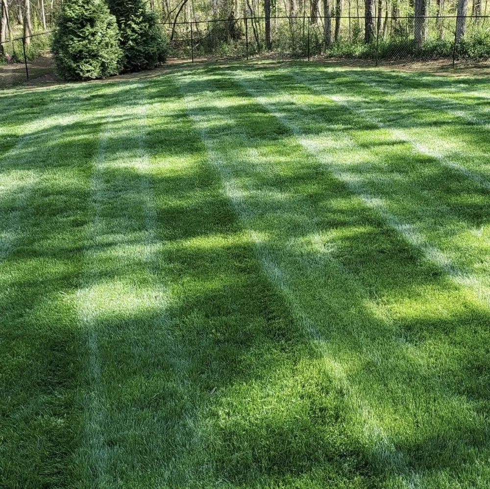 Reliable yard maintenance with custom design across Cincinnati, OH - A2Z 513