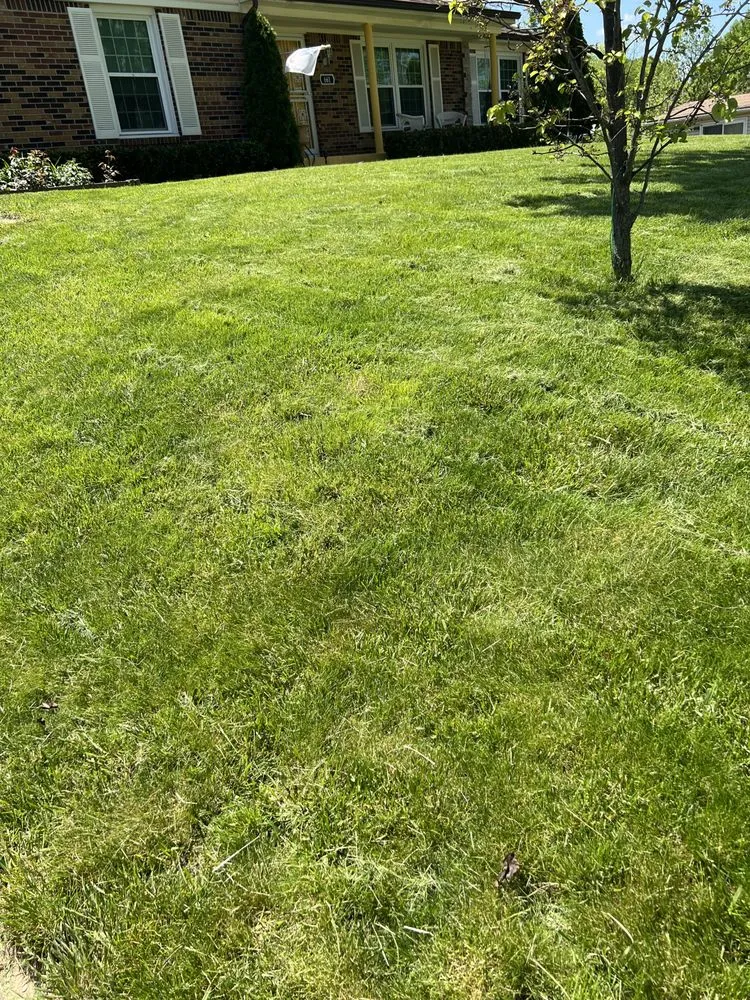 Professional landscape installation near you in Cincinnati, OH by A2Z 513