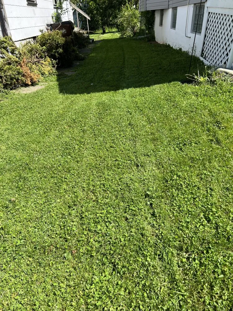 Custom lawn mowing service in Cincinnati, OH by A2Z 513