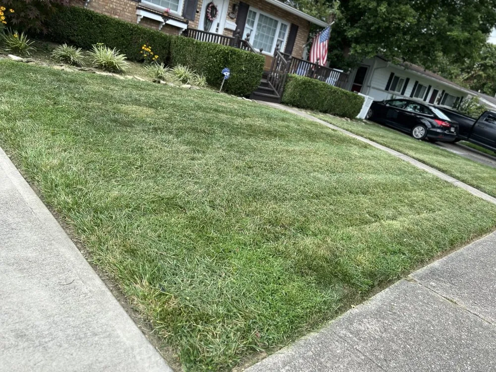 Top-rated yard maintenance with custom design in Cincinnati, OH by A2Z 513