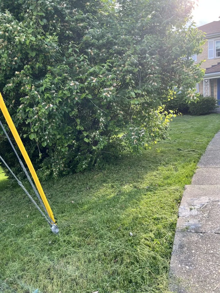 Local landscape installation near you across Cincinnati, OH - A2Z 513