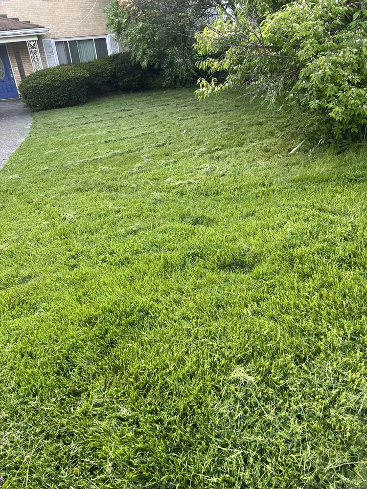 Top-rated lawn care service near you across Cincinnati, OH - A2Z 513